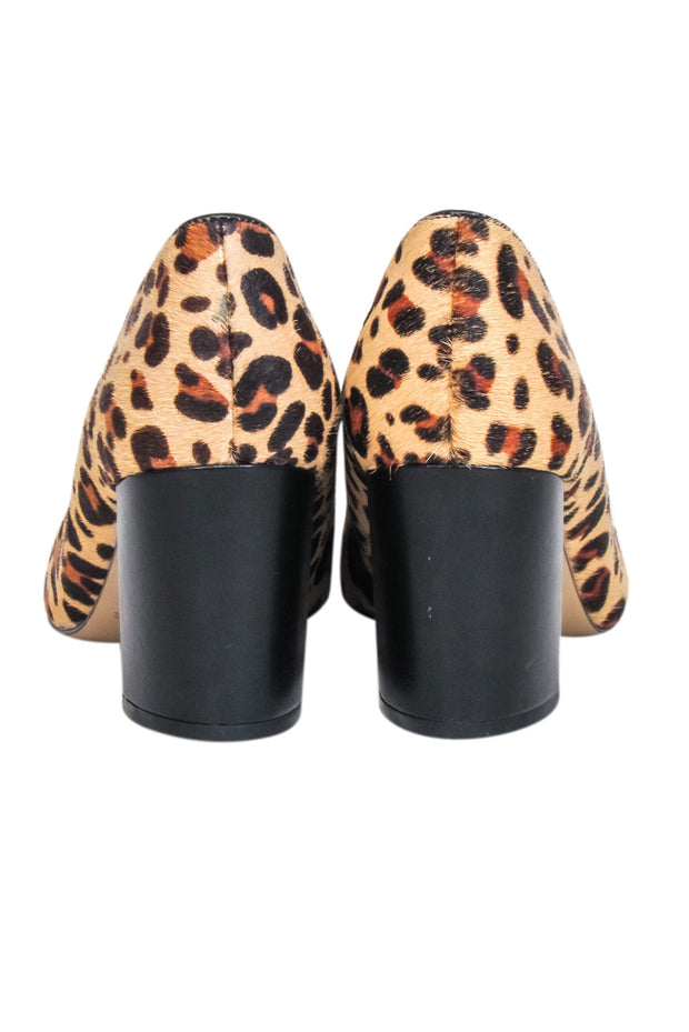 Current Boutique-Marc Fisher - Leopard Print Pointed Pumps Sz 7.5