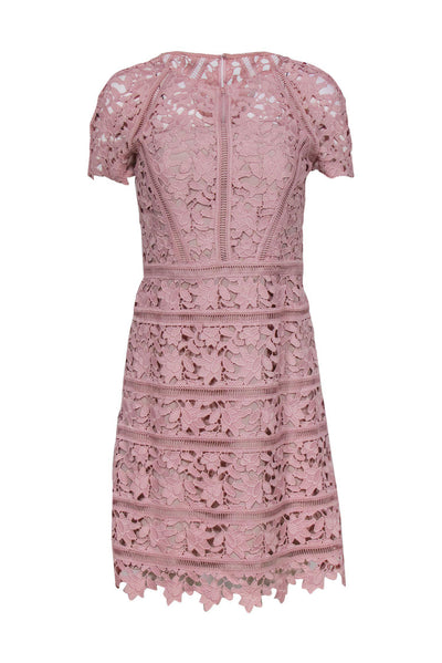 Current Boutique-Reiss - Blush Pink Floral Lace Sheath Dress Sz 4