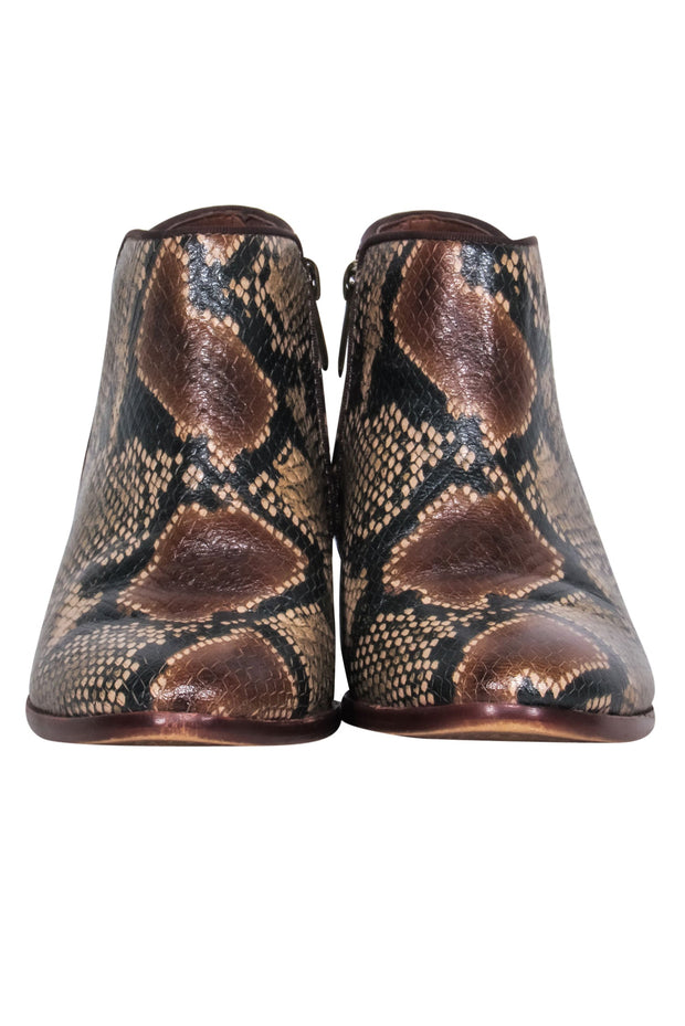 Current Boutique-Sam Edelman - Brown, Black, & Tan Snake Print Leather "Petty" Ankle Booties Sz 6