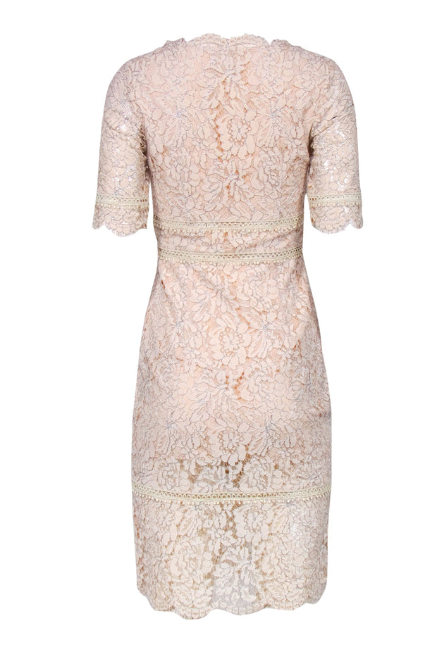 Current Boutique-Saylor - Blush Lace Scoop Neck Sheath Dress w/ Eyelet Inserts Sz 4