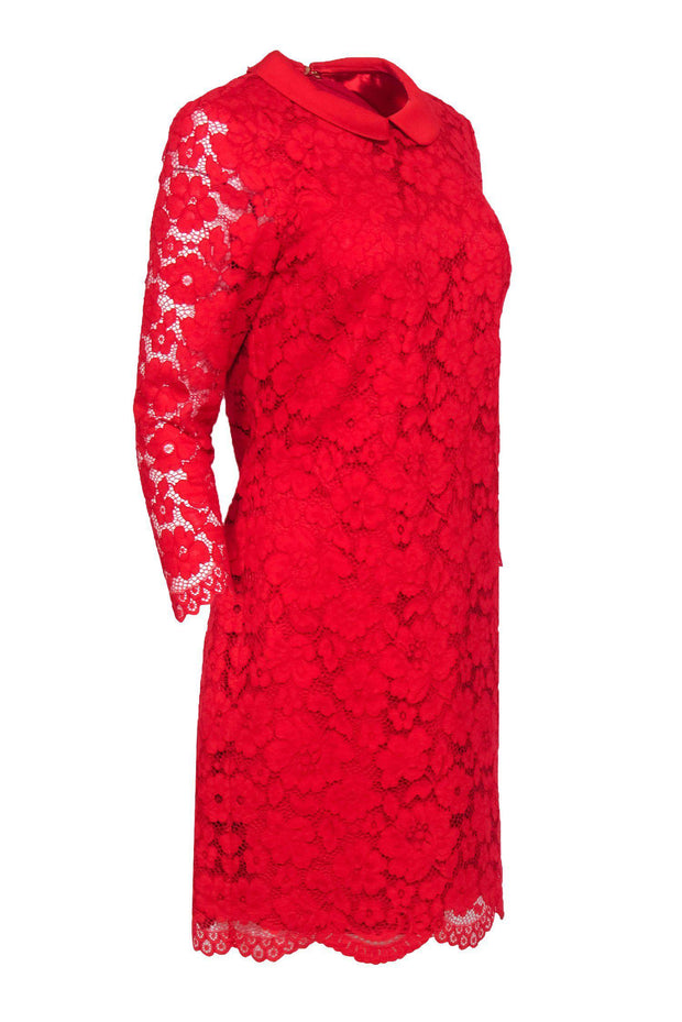 Current Boutique-Ted Baker - Red Lace Peter Pan Collar Dress Sz 8