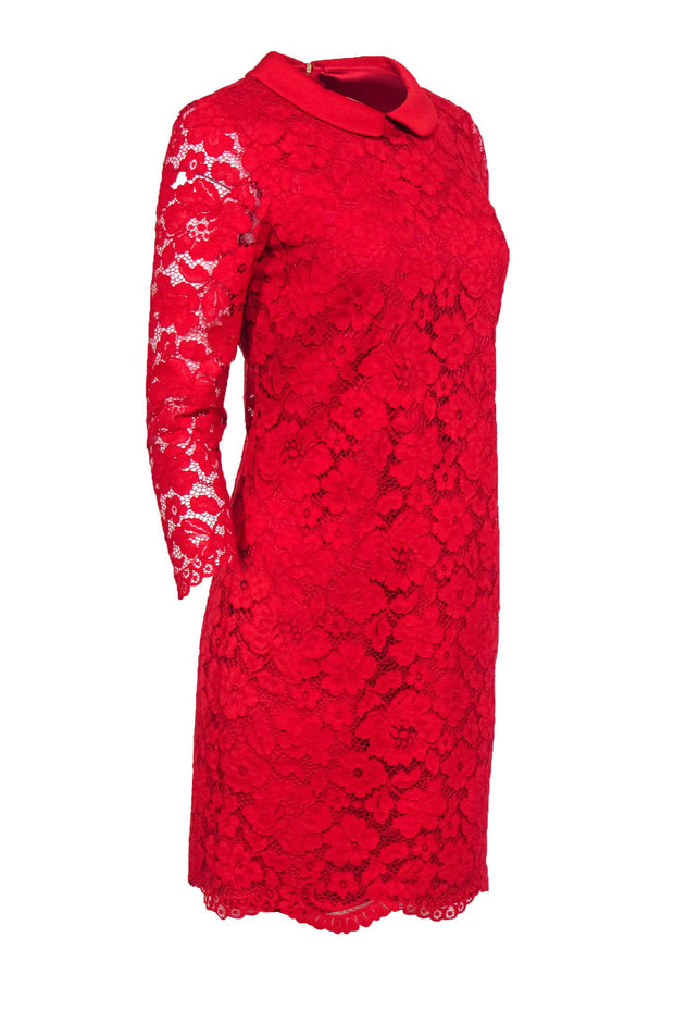 Current Boutique-Ted Baker - Red Lace Shift Dress w/ Peter Pan Collar Sz 6