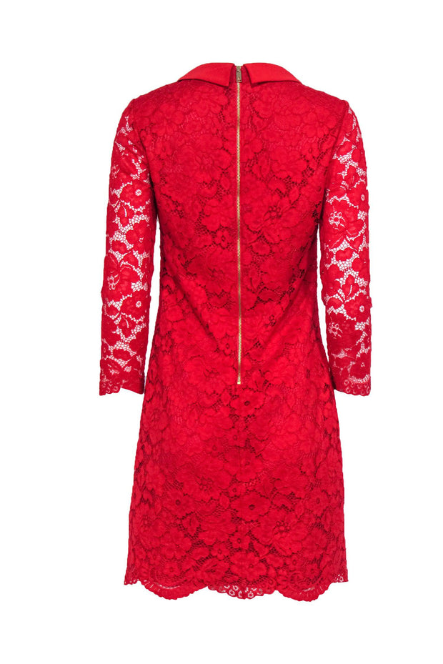 Current Boutique-Ted Baker - Red Lace Shift Dress w/ Peter Pan Collar Sz 6